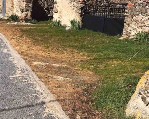 El glifosato sigue presente en la fumigación de algunos municipios de la provincia 2 web 2 glifosato