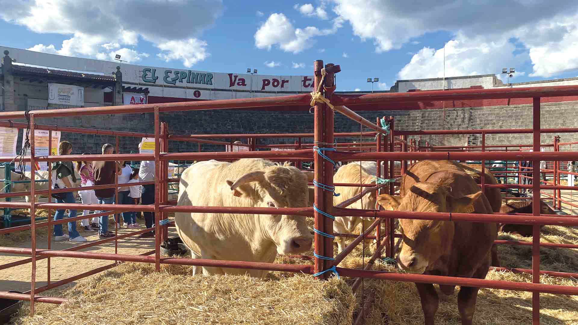 Feria del Ganado Vacuno en El Espinar celebrada el pasado fin de semana. / E. R.