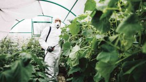 El glifosato sigue presente en la fumigación de algunos municipios de la provincia 4 web 4 glifosato