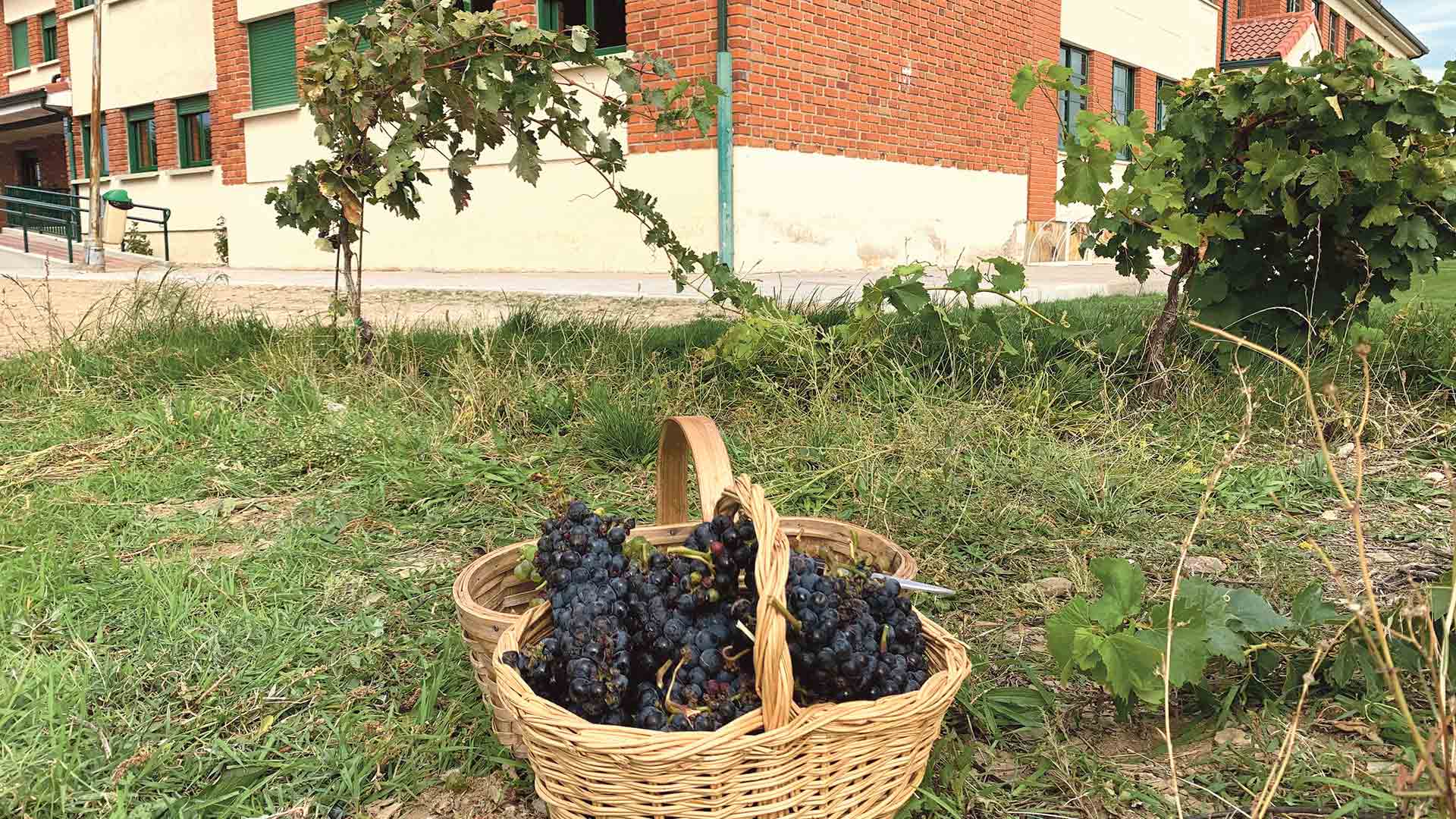 web IES CATALINA DE LANCASTER SANTA MARIA