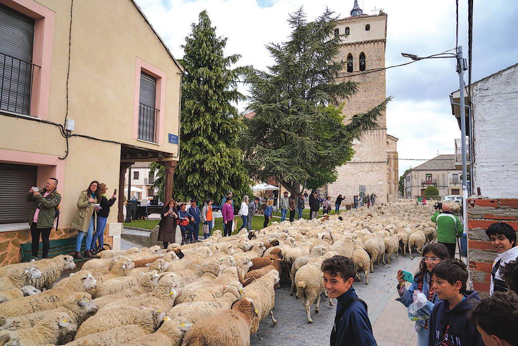 Personas de todas las edades disfrutaron del paso del rebaño por las calles del pueblo. / Miguel Ángel Fernández