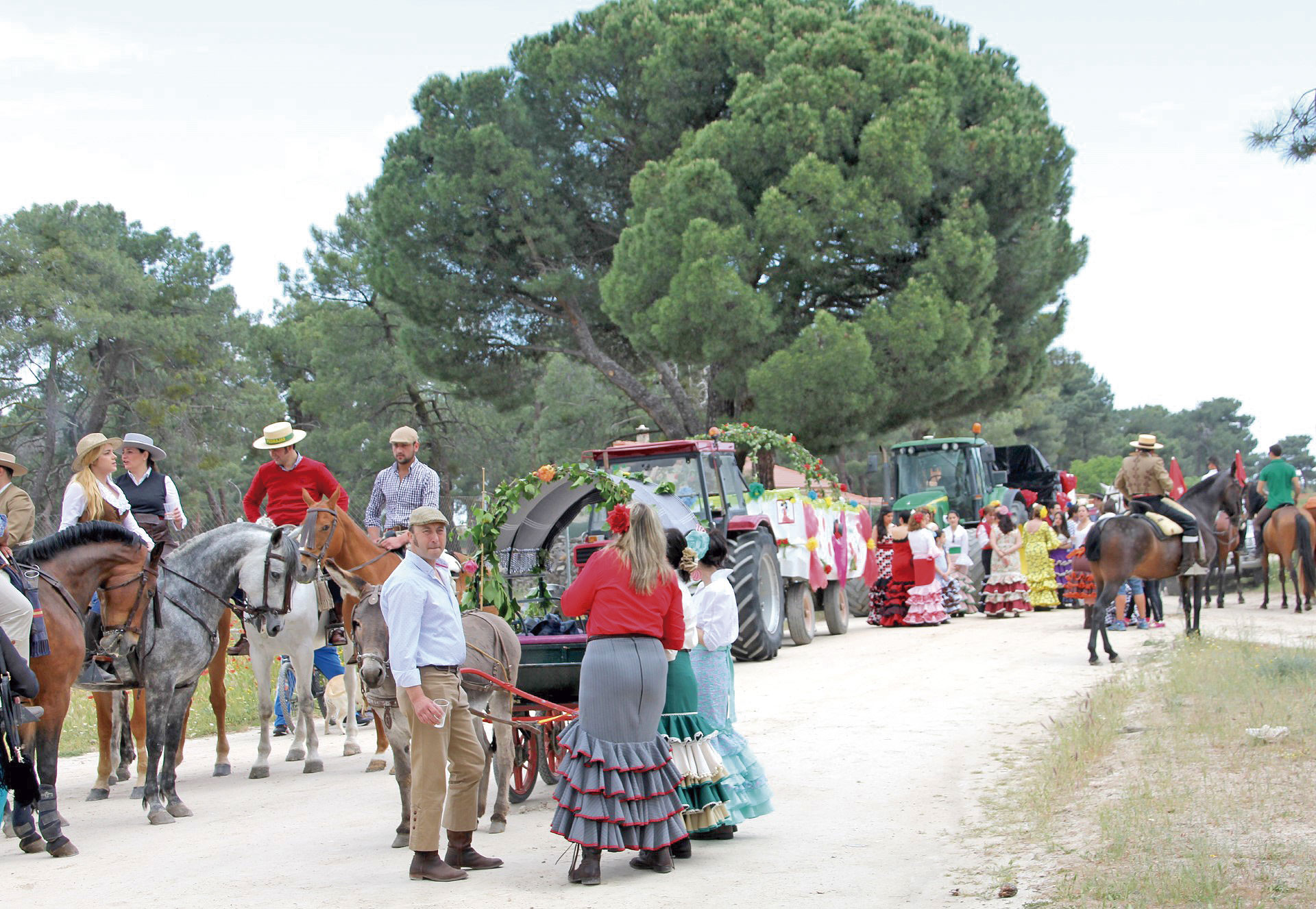 La cofradía ‘Amigos del caballo’ celebra el 26 y 27 su XXX feria de primavera en Nava de la Asunción 1 12 1 WEB 6