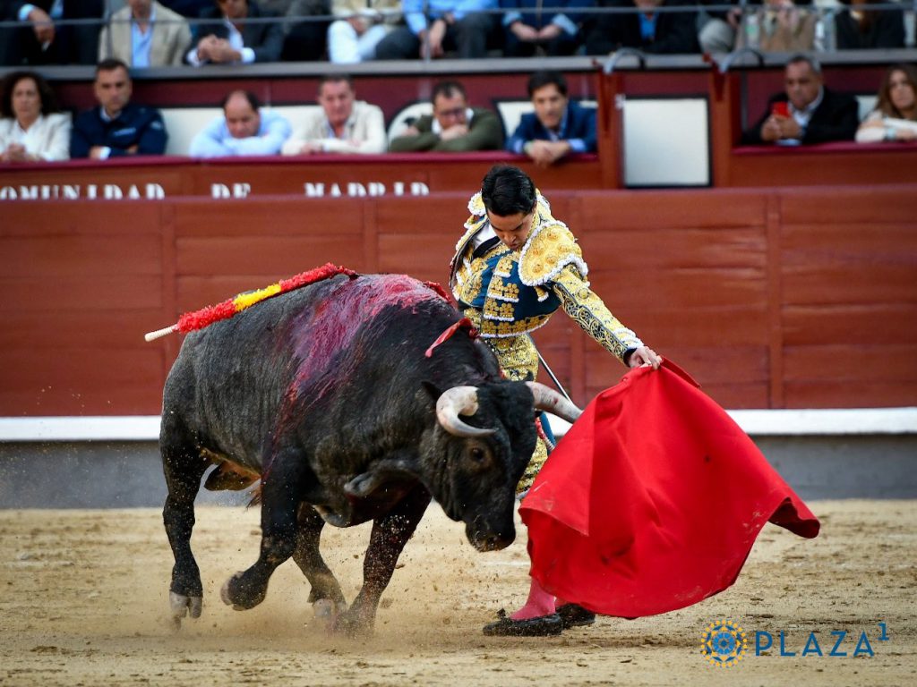 El vallisoletano Mario Navas, con el tercer novillo de Los Maños. / PLAZA 1