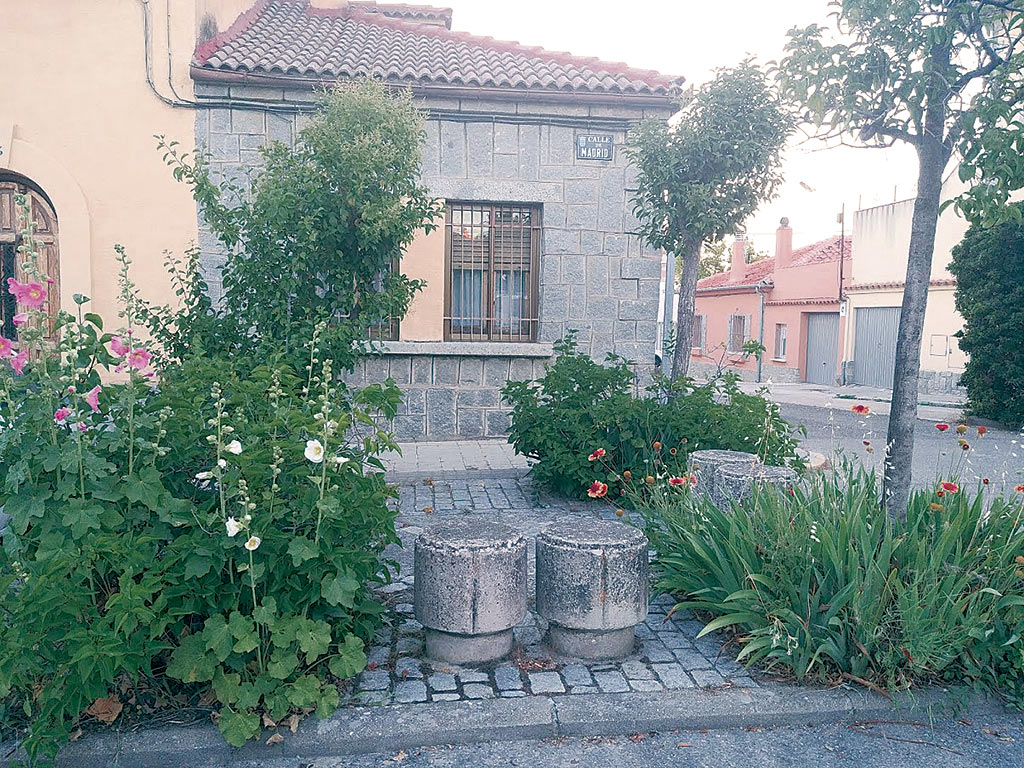 Vecinos jardineros en el barrio de La Albuera 2 20190612 213435 HDR