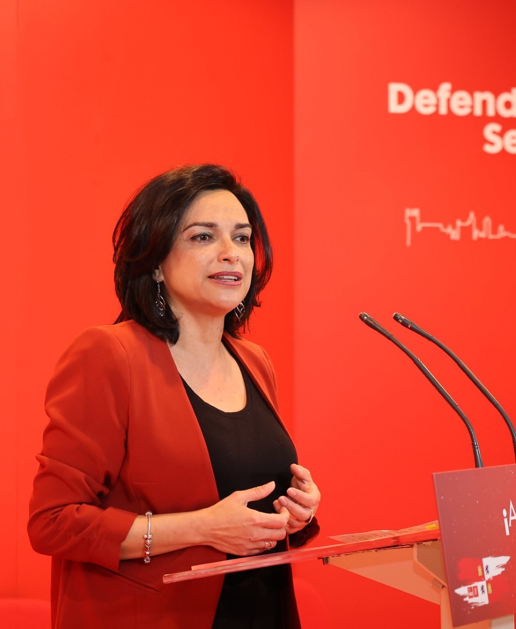 Alicia Palomo Sebastián, representante del PSOE.