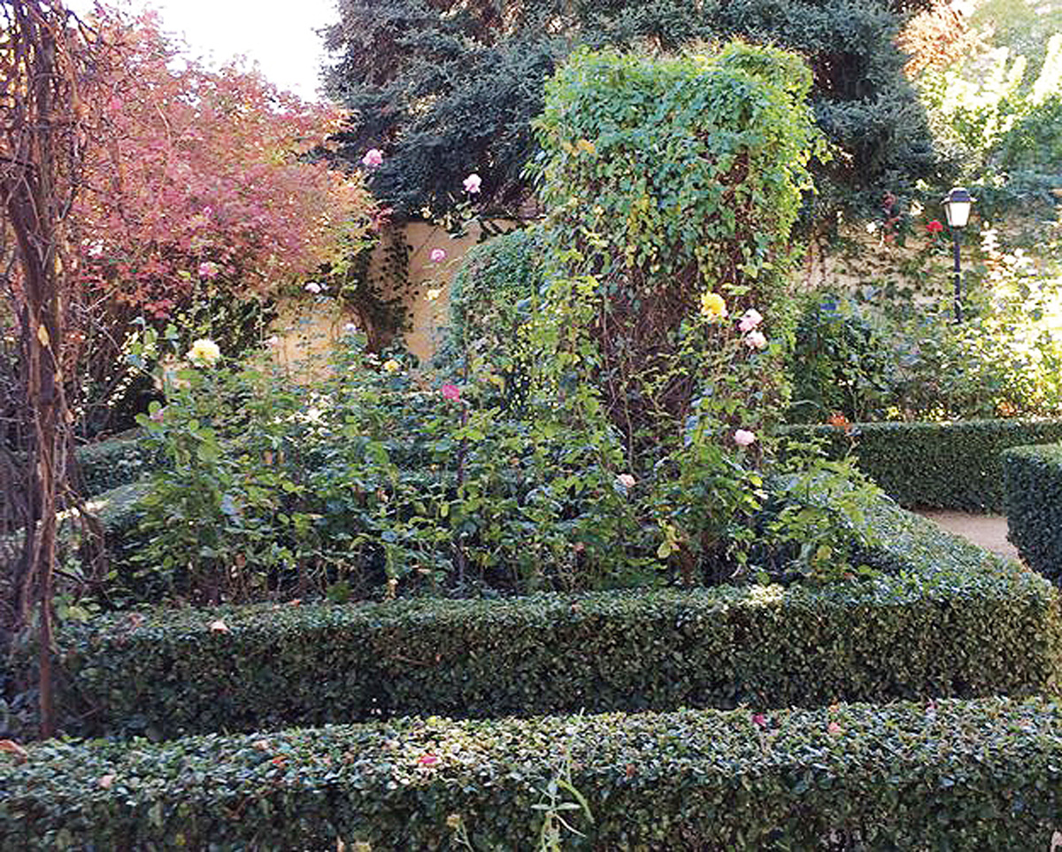 Cuadros dibujados con viburno y rosales en el centro. JMS