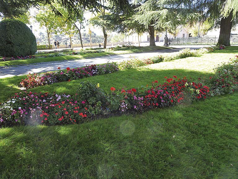 Los jardines de la plaza de la reina Victoria Eugenia 9 Césped y flores de temporada en el parterre central (Foto: Juan Manuel Santamaría).
