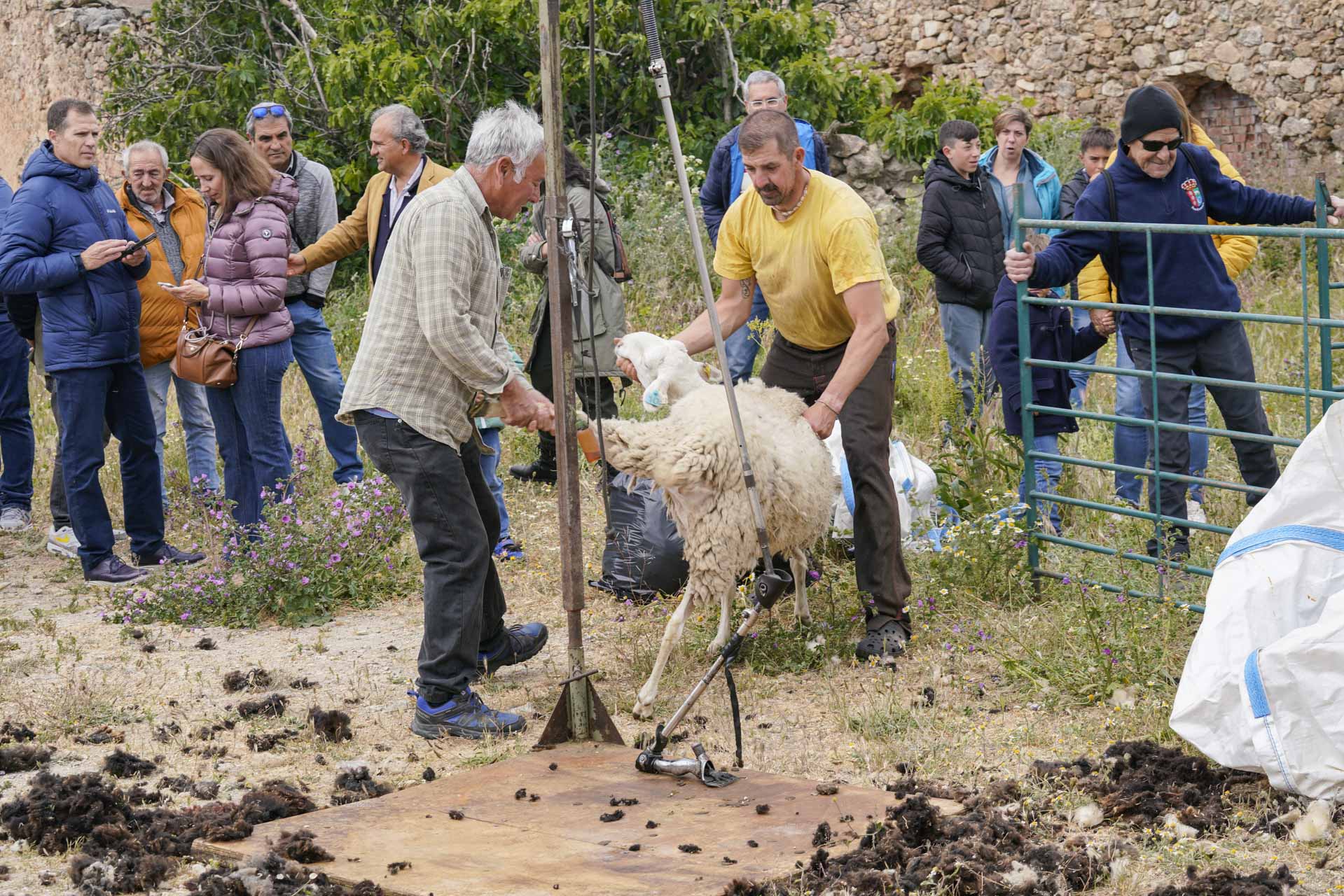 Fotografía: Miguel Angel Fernández