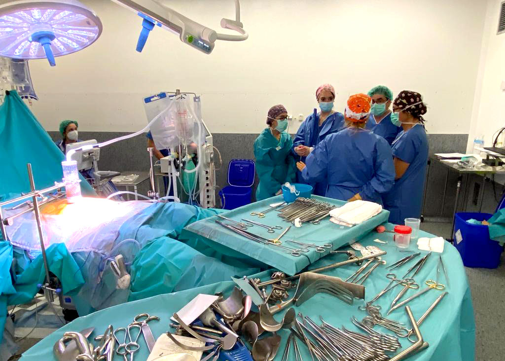 La Consejería de Sanidad aplica este año la misma medida, voluntaria y remunerada. / ICAL