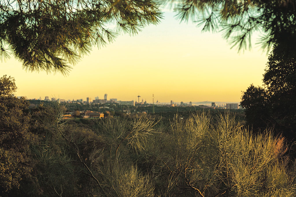 Resulta irónico que el frente de batalla se aleje de las grandes ciudades, donde se genera el 70% de emisiones de efecto invernadero. Foto: Isabela  Roldán