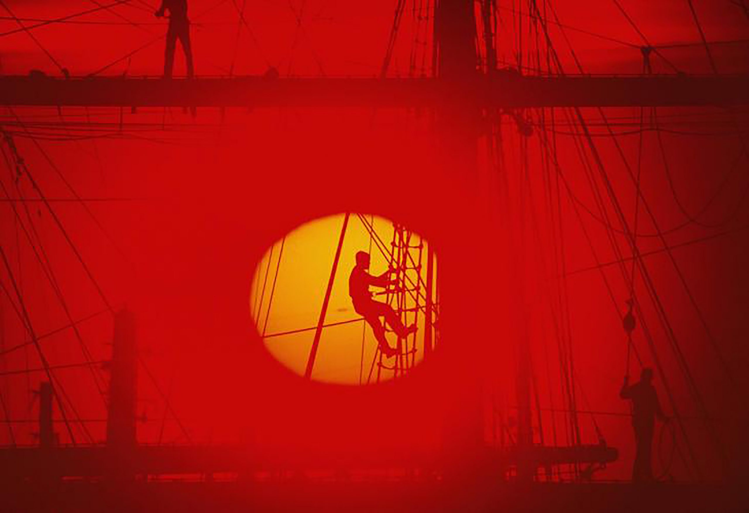 La muestra cuenta con imágenes de fotógrafos de renombre como Joel Sartore o Lynn Johnson.