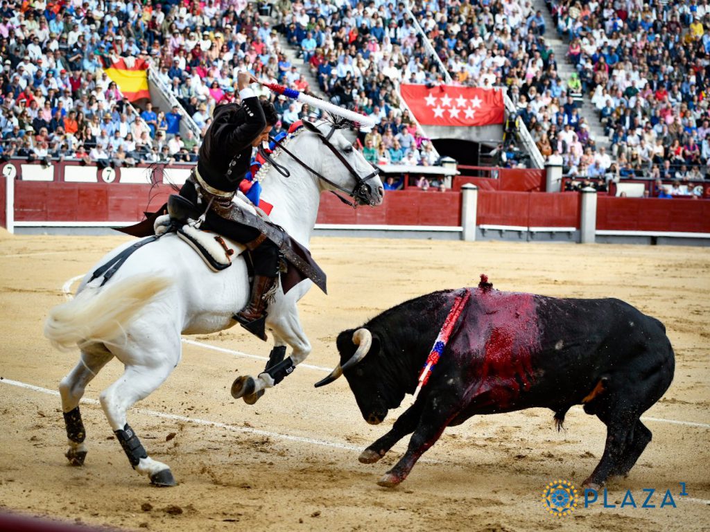 Diego Ventura, con el primer toro de Guiomar Cortés de Moura. / PLAZA 1