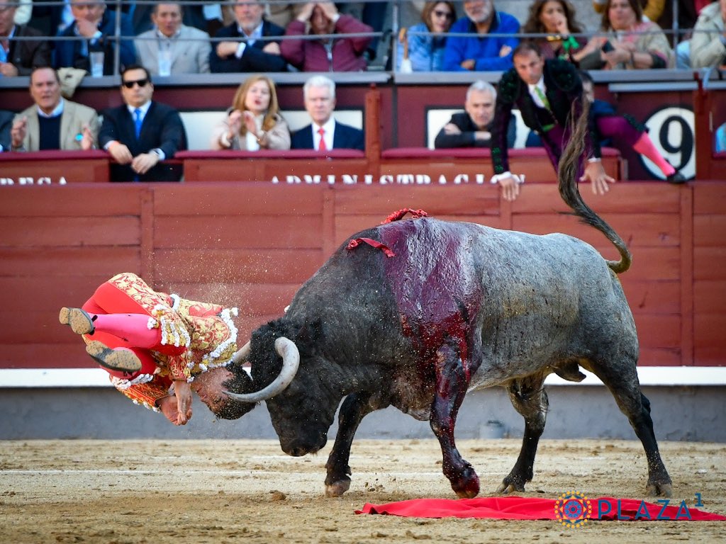 José Escolar, culto a la casta 4 Domingo López-Chaves es cogido por el primer toro de José Escolar. / PLAZA 1