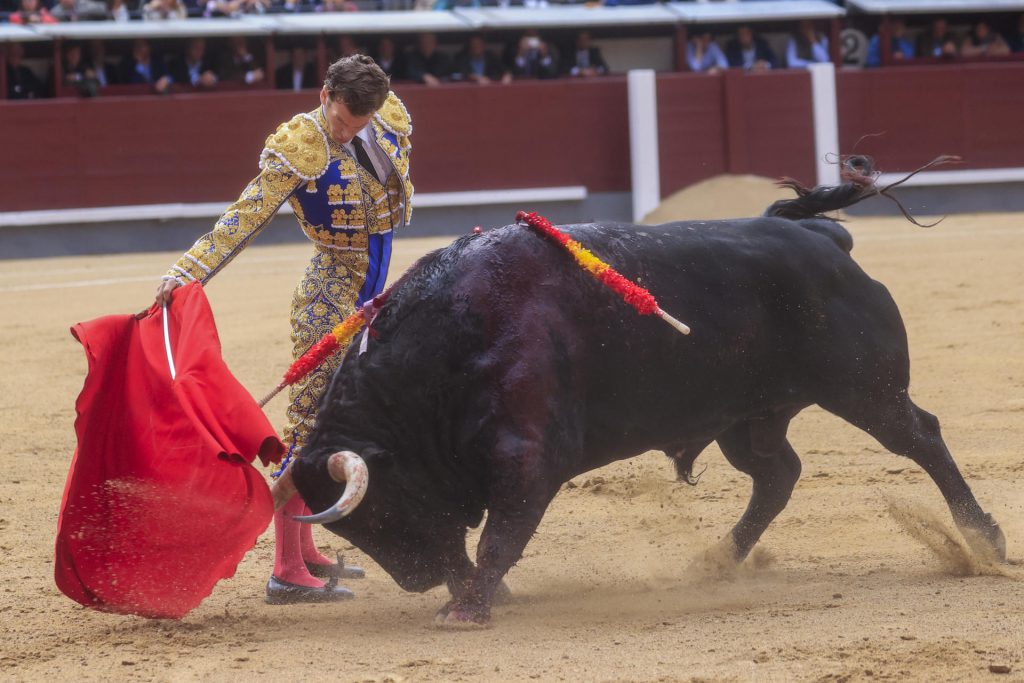 Román acaba con los fantasmas mentales a golpe de madurez 4 El torero mexicano Octavio García 'El Payo'. EFE/ Zipi Aragón