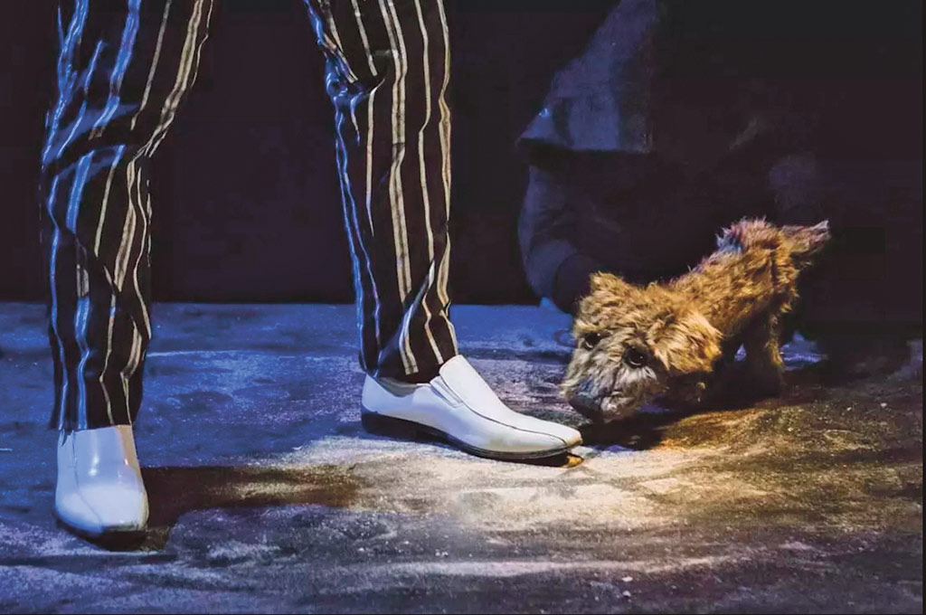 Perro Perdido vive en el espacio que queda entre el suelo y los zapatos. / E. A.