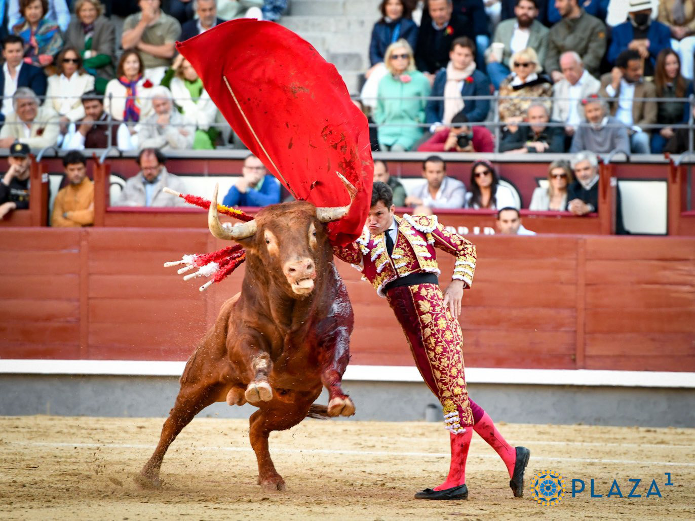 Pase de pecho de Daniel Luque. / PLAZA 1