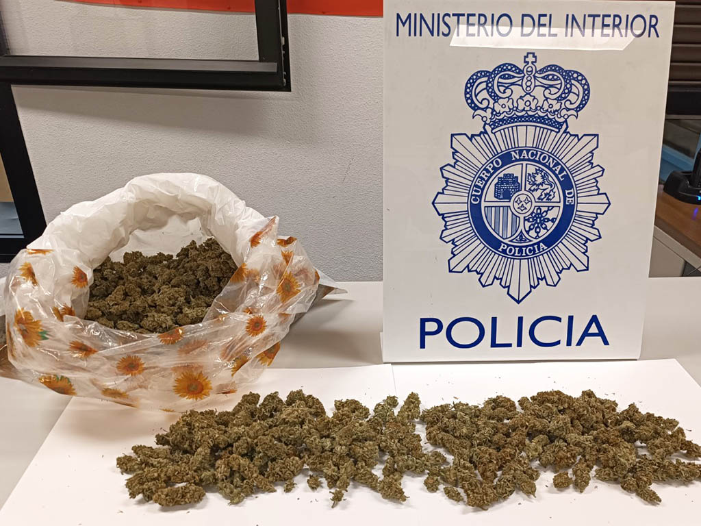Marihuana requisada. / EL ADELANTADO