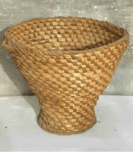 Ciencia, lenguaje y sociología en la colmena 3 web CAZAENJAMBRES2 1920wokkk