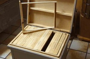 Ciencia, lenguaje y sociología en la colmena 6 web COLMENALAYENS 1920wokkk