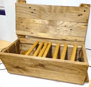 Ciencia, lenguaje y sociología en la colmena 2 web COLMENAMARIMBA