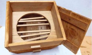 Ciencia, lenguaje y sociología en la colmena 5 web COLMENAMELIPONA okkkkk