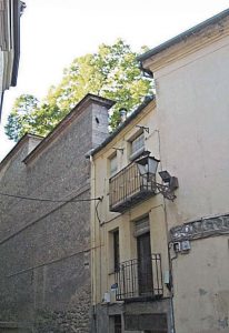 Tilo rebasando el muro del jardín que da la calle Valdeláguila. JMS.