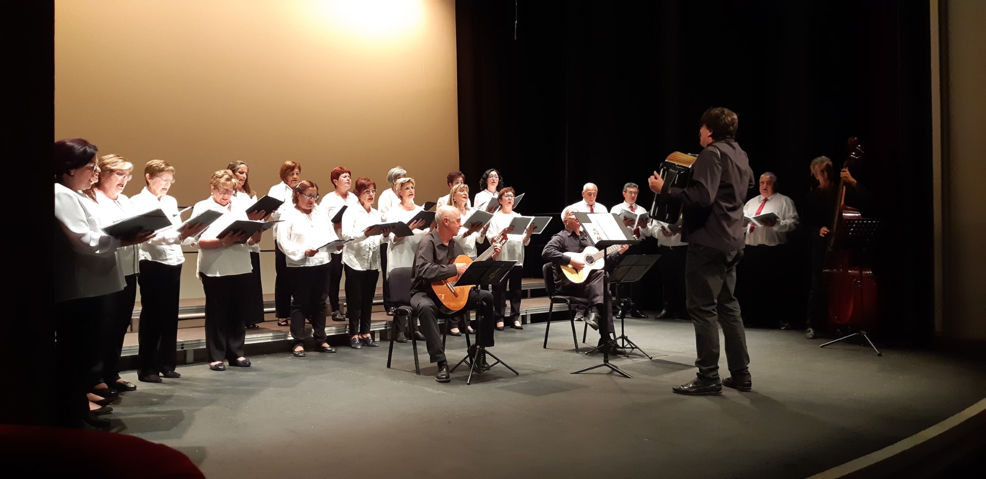 Festival Aulas para Convivir Cantando de la Diputación. / EL ADELANTADO