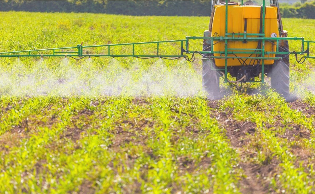 El Centro Cultural José Rodao acogerá esta formación gratuita.
