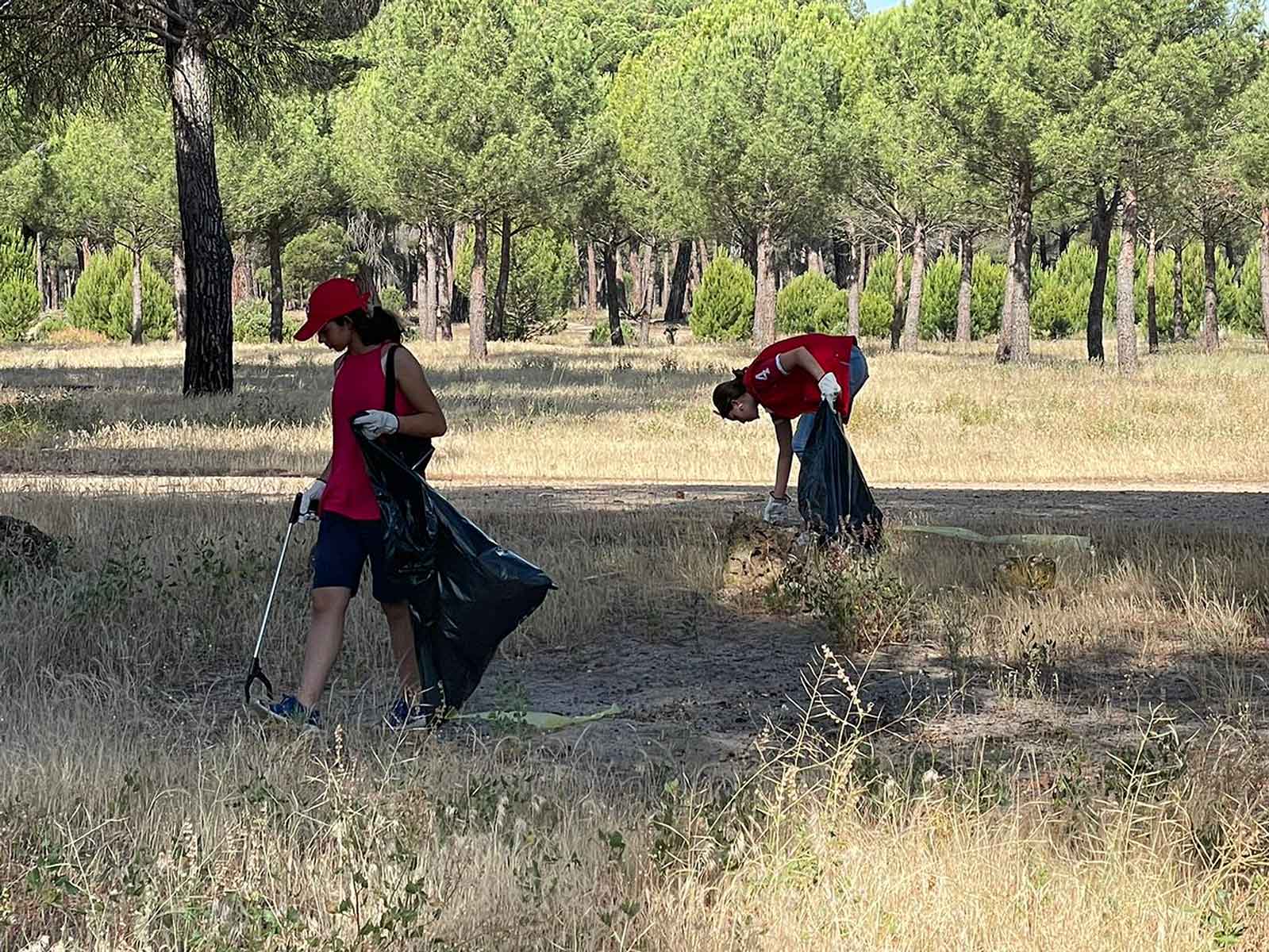 Imagen de archivo de recogida de Basuraleza.