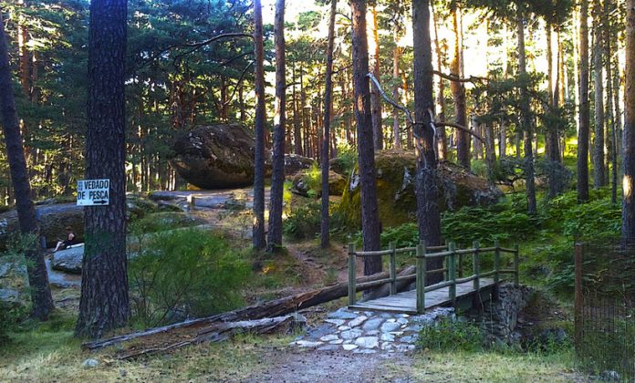 Camino de Las Pesquerías.