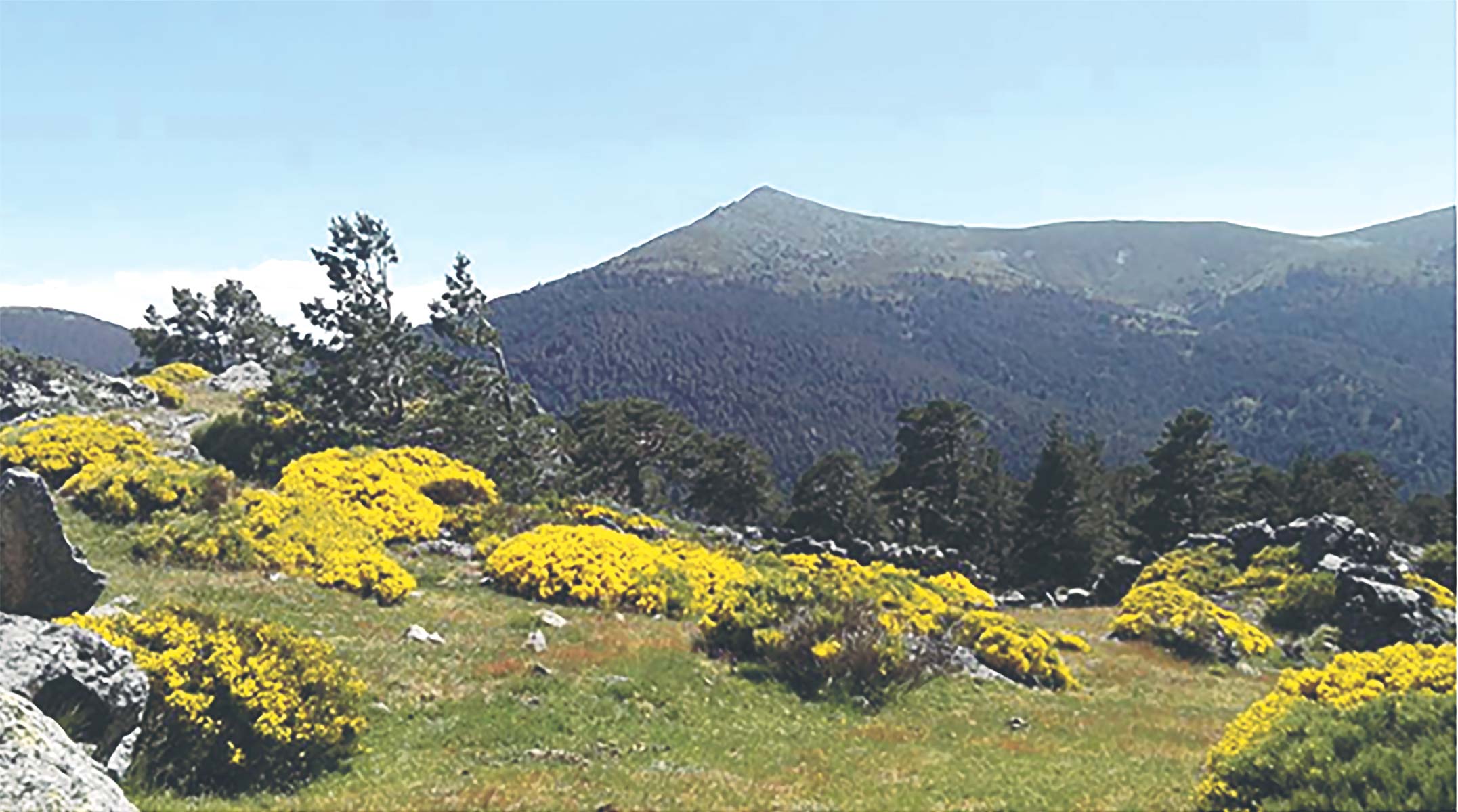 La ruta está destinada a un público a partir de 10 años.