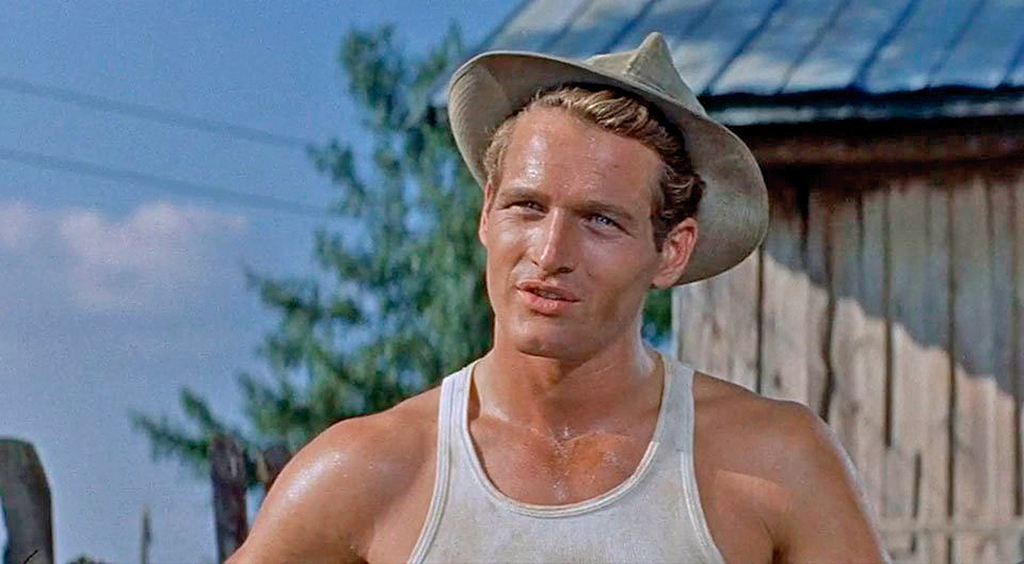 El largo y cálido verano.