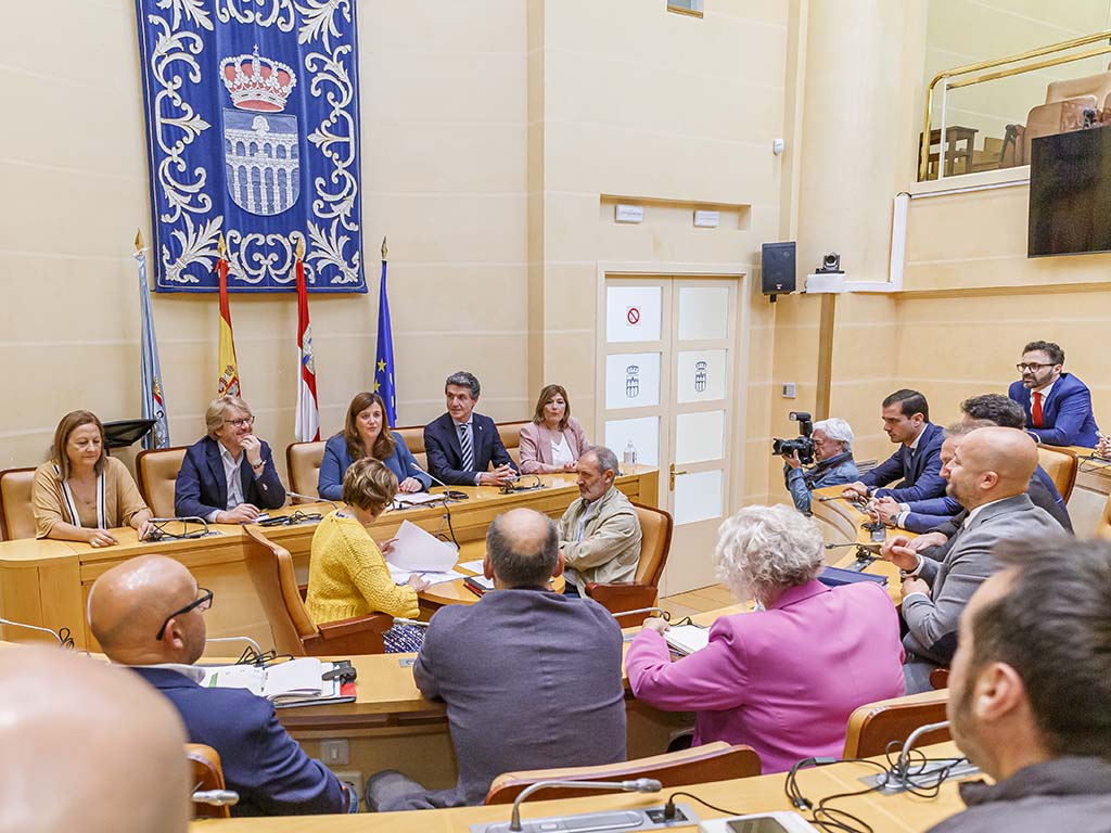 Pleno Extraordinario del Ayuntamiento de Segovia. / NACHO VALVERDE - ICAL
