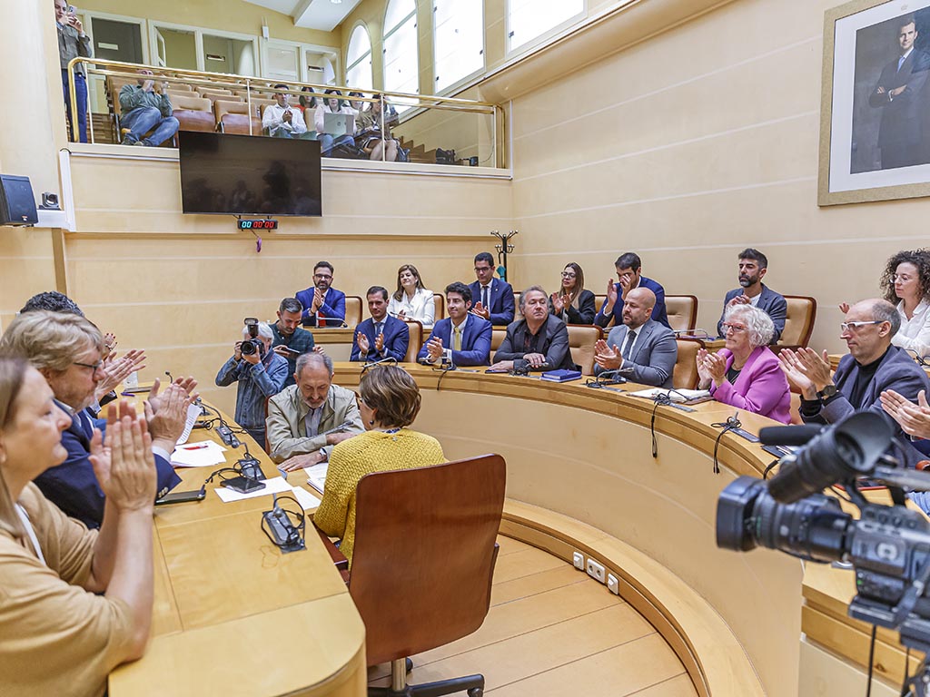 Pleno del Ayuntamiento de Segovia. / NACHO VALVERDE - ICAL