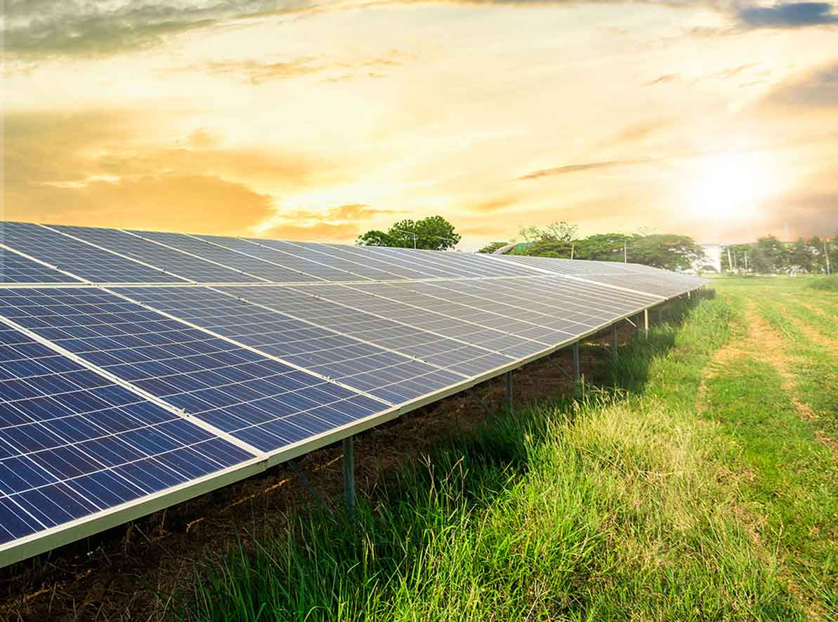 La planta de Mudrián está en un entorno privilegiado con un bosque de coníferas.