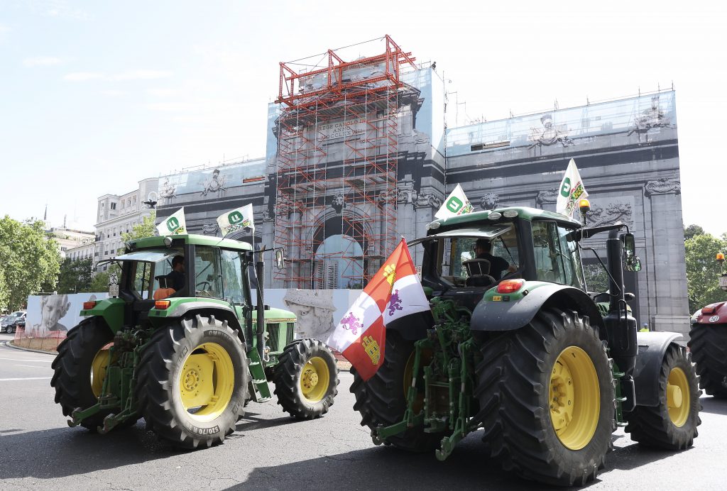 Arranca la cosecha de cereal con una fuerte bajada de los rendimientos y muchas dudas sobre los precios 2 05