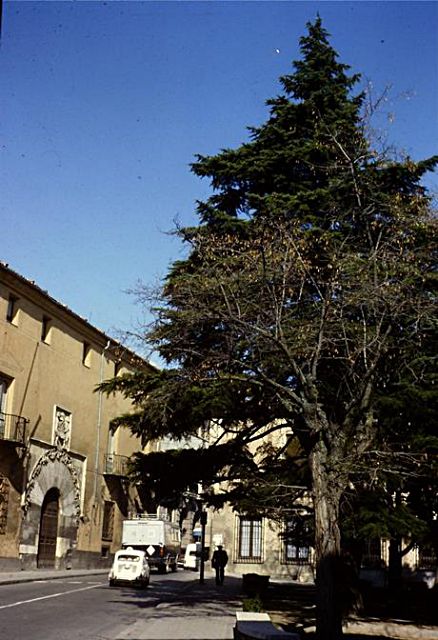 Los jardines de la plaza del Conde de Cheste y los Zuloaga 2 2 Conde Cheste