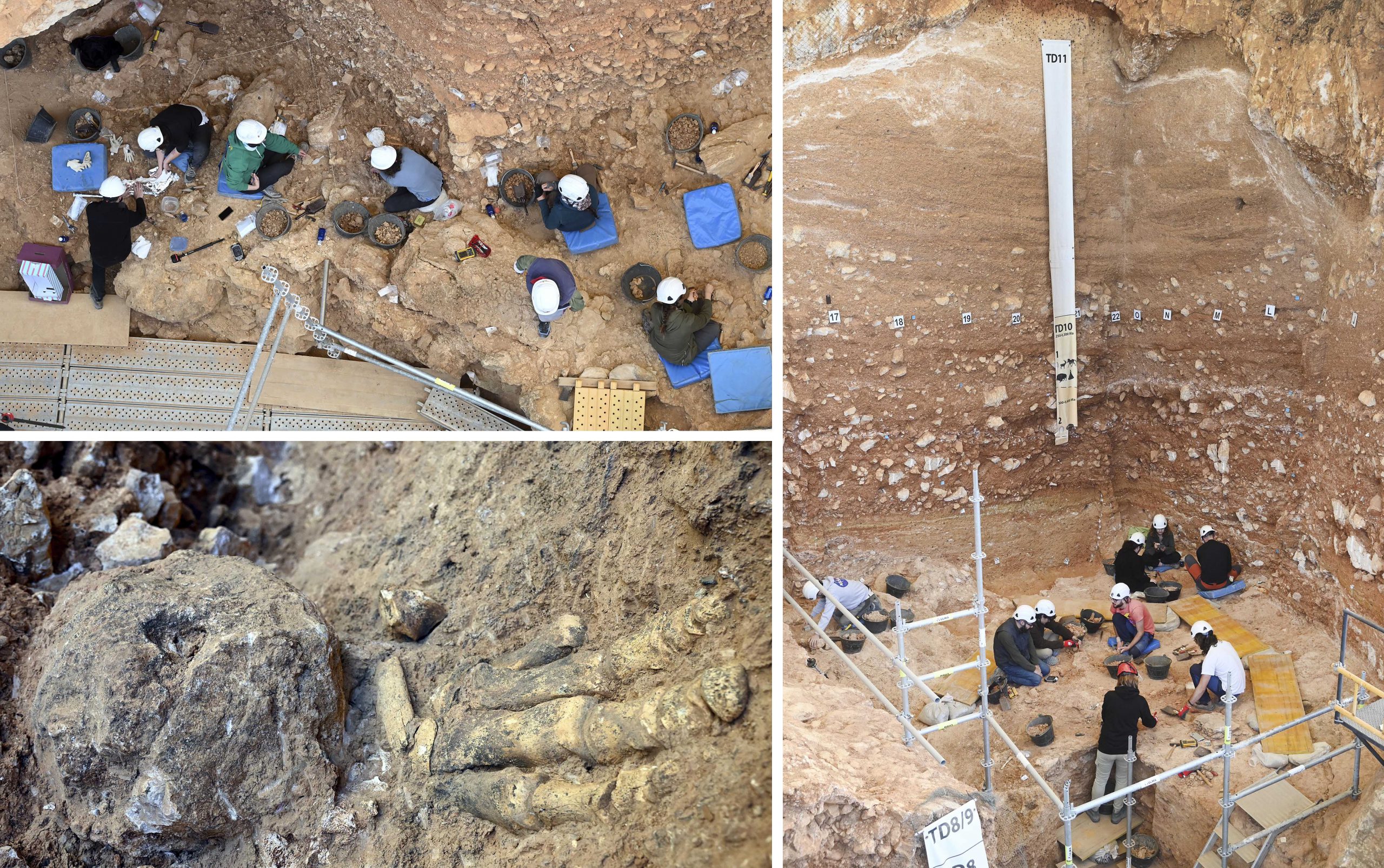 Trabajos de excavación en la Gran Dolina.