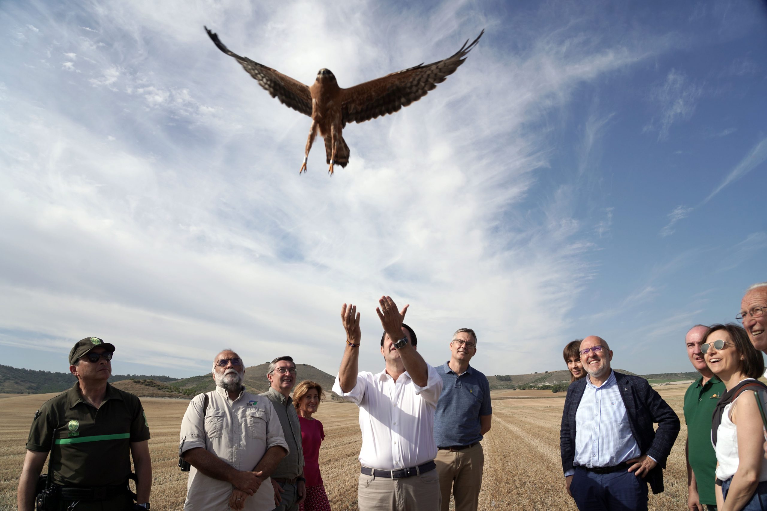 El Consejero de Medio Ambiente participa en la liberación de aguiluchos en Valoria la Buena. / Rubén Cacho