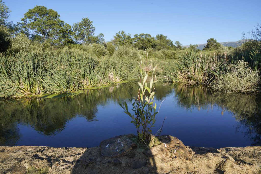 El Gobierno cumple su amenaza e inicia el desmantelamiento de la presa de La Muña, en Navafría 2 Fotografia Miguel Angel Fernandez 6 10