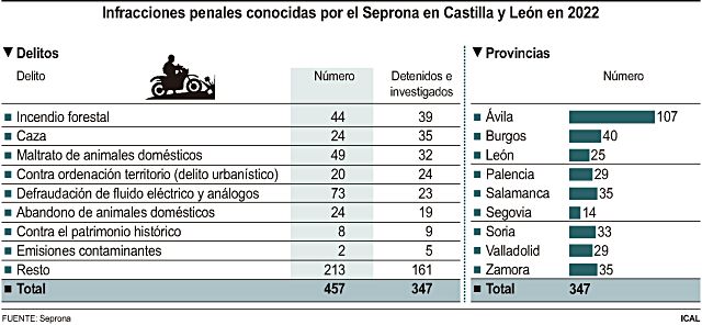Infracciones penales conocidas por el Seprona en Castilla y León en 2022.