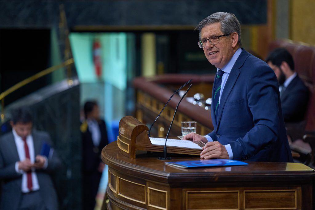 El diputado del Partido Popular por Segovia, Jesús Postigo, realiza una intervención en el Congreso. / EL ADELANTADO