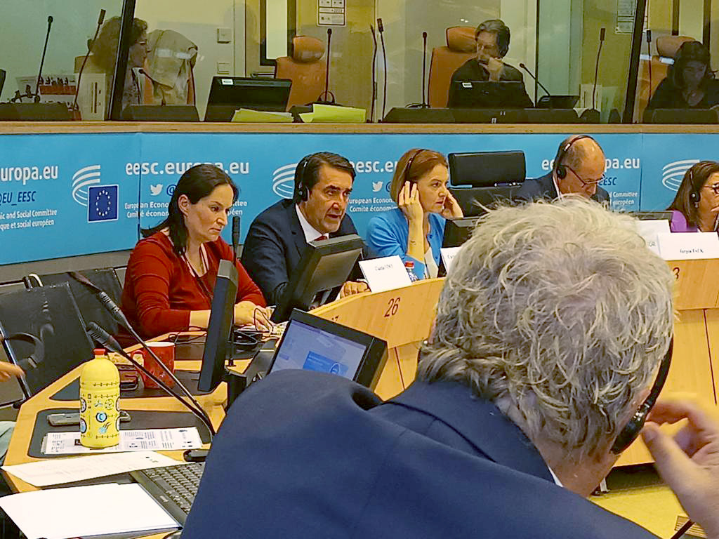 Suárez-Quiñones participa en el debate “Coexistencia de ganadería y grandes carnívoros en Europa”. / JCYL