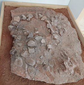 WhatsApp Image 2023 05 22 at 20.16.34 5okkkkkkkkkkkkkkkkkkkk