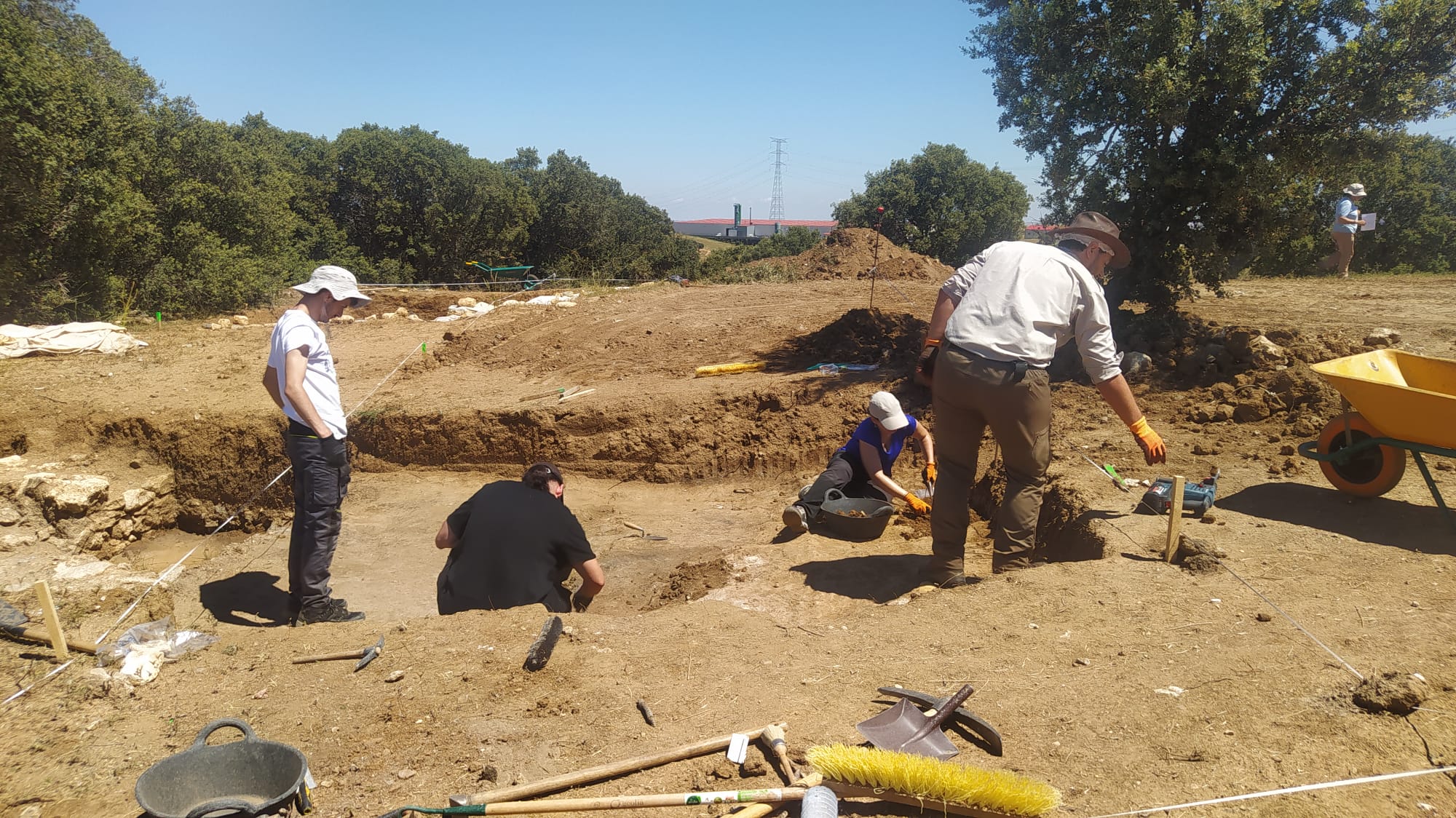 WhatsApp Image 2023 07 07 at 13.11.41 4