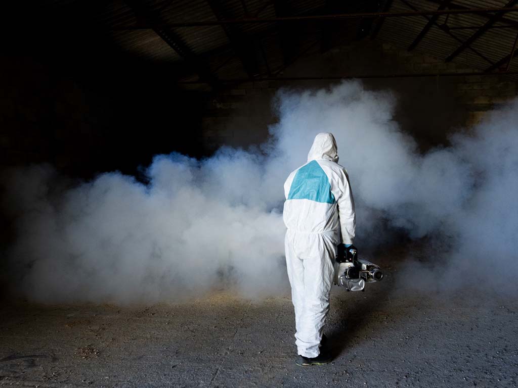 Deproal, dos emprendedores en una empresa con más de 30 años de experiencia 4 deproal fumigacion plagas