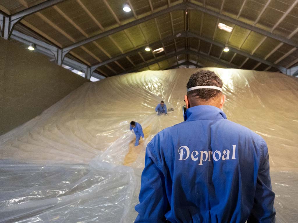 Deproal, dos emprendedores en una empresa con más de 30 años de experiencia 3 deproal nave