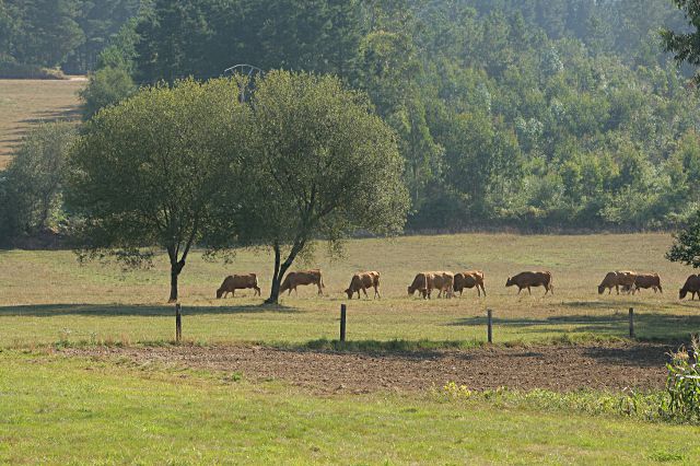 Terreno recuperado en la Comarca Nordeste de Segovia.