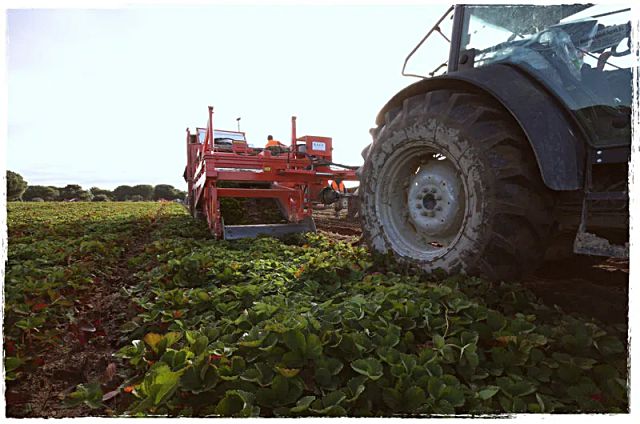 viveros el pinar nuestra historia