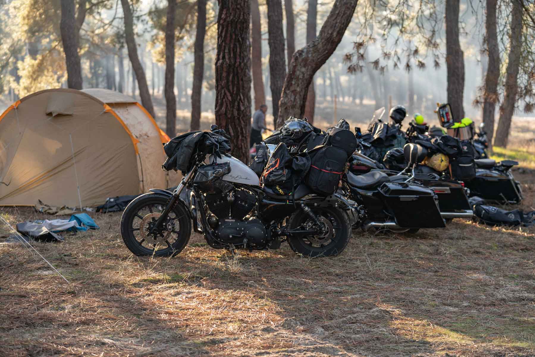 La Leyenda Continúa. Foto: Miguel Ángel Fernández.